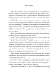 Valdymo procesų analizė organizacijoje 3 puslapis