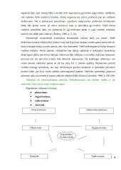 Valdymo procesų analizė organizacijoje 4 puslapis