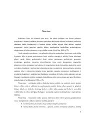 Valdymo procesų analizė organizacijoje 7 puslapis