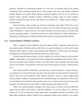 Žinių pasidalijimo sistema 13 puslapis