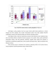 Žinių pasidalijimo sistema 17 puslapis