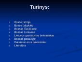 Bokso istorija ir taisyklės 2 puslapis