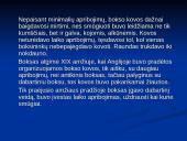 Bokso istorija ir taisyklės 4 puslapis