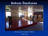 Bokso istorija ir taisyklės 7 puslapis