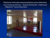 Bokso istorija ir taisyklės 8 puslapis