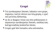 Grupinio darbo organizavimas ir efektyvumas 2 puslapis