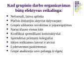 Grupinio darbo organizavimas ir efektyvumas 12 puslapis