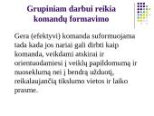 Grupinio darbo organizavimas ir efektyvumas 14 puslapis