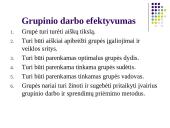 Grupinio darbo organizavimas ir efektyvumas 8 puslapis