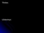 Krepšinio raida pasaulyje bei Lietuvoje 2 puslapis