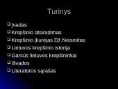 Krepšinio raida pasaulyje bei Lietuvoje 3 puslapis