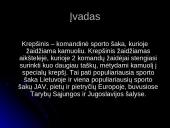 Krepšinio raida pasaulyje bei Lietuvoje 4 puslapis