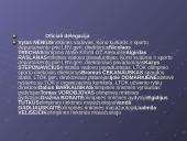 Lietuvos olimpiečiai 2004 metų Atėnų Olimpiadoje 4 puslapis