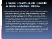 Psichologinio klimato kūrimas 5 puslapis