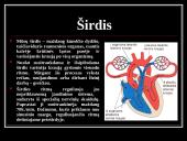 Sporto įtaka pulsui ir kraujospūdžiui 7 puslapis