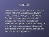 Veiklos rūšys, organizavimas, efektyvumas ir kontrolė 11 puslapis