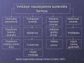 Veiklos rūšys, organizavimas, efektyvumas ir kontrolė 12 puslapis