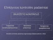 Veiklos rūšys, organizavimas, efektyvumas ir kontrolė 13 puslapis