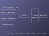 Veiklos rūšys, organizavimas, efektyvumas ir kontrolė 16 puslapis