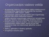 Veiklos rūšys, organizavimas, efektyvumas ir kontrolė 3 puslapis