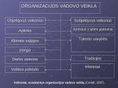 Veiklos rūšys, organizavimas, efektyvumas ir kontrolė 4 puslapis