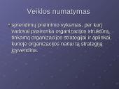 Veiklos rūšys, organizavimas, efektyvumas ir kontrolė 7 puslapis