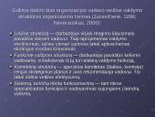 Veiklos rūšys, organizavimas, efektyvumas ir kontrolė 9 puslapis