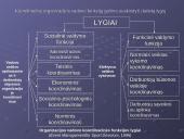 Veiklos rūšys, organizavimas, efektyvumas ir kontrolė 10 puslapis