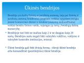 Verslo įmonių steigimo sąlygos Lietuvoje 11 puslapis