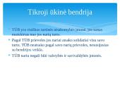 Verslo įmonių steigimo sąlygos Lietuvoje 12 puslapis