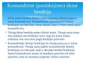 Verslo įmonių steigimo sąlygos Lietuvoje 13 puslapis