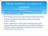 Verslo įmonių steigimo sąlygos Lietuvoje 16 puslapis