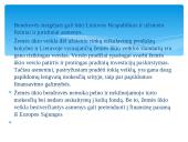 Verslo įmonių steigimo sąlygos Lietuvoje 18 puslapis