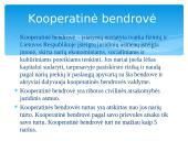 Verslo įmonių steigimo sąlygos Lietuvoje 19 puslapis