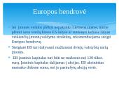 Verslo įmonių steigimo sąlygos Lietuvoje 20 puslapis