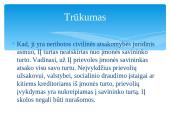 Verslo įmonių steigimo sąlygos Lietuvoje 7 puslapis