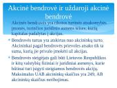 Verslo įmonių steigimo sąlygos Lietuvoje 8 puslapis