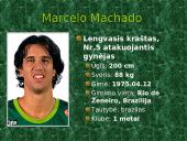 BC Žalgiris 14 puslapis