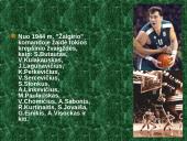 BC Žalgiris 3 puslapis