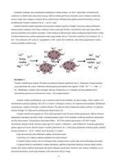 Kietas vanduo: problemos ir sprendimai 4 puslapis