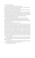 Kūrybinių vaidmeninių žaidimų vystymasis 3 puslapis