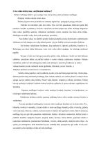 Kūrybinių vaidmeninių žaidimų vystymasis 4 puslapis