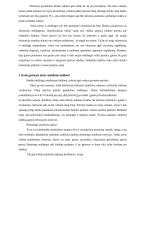 Kūrybinių vaidmeninių žaidimų vystymasis 5 puslapis