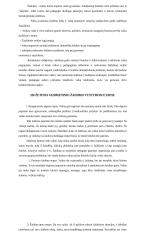 Kūrybinių vaidmeninių žaidimų vystymasis 7 puslapis