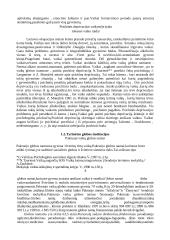 Pradinių klasių mokinių iš globos namų diagnostika mokykloje 12 puslapis