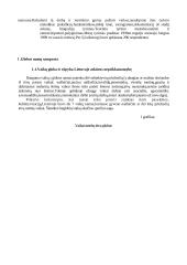 Pradinių klasių mokinių iš globos namų diagnostika mokykloje 4 puslapis