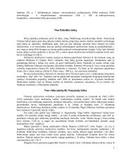 Skaičiavimo technika 2 puslapis