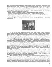 Skaičiavimo technika 4 puslapis