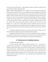 Tarptautinės pinigų sistemos raida 11 puslapis