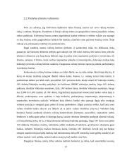 Tarptautinės pinigų sistemos raida 13 puslapis